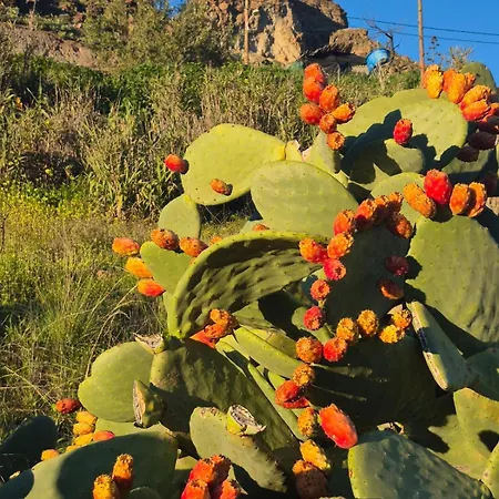 El Caserio De Arana - Atlantic Blue Ocean Appartement